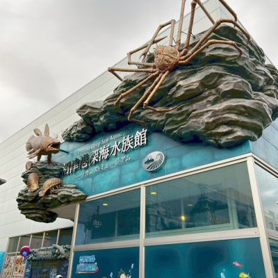 メンダコに会いに、沼津港深海水族館に行ってきました！