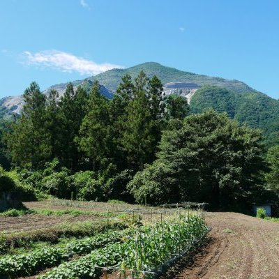 【深谷市・熊谷市・秩父市】土地を見に行くならここをチェック！注文住宅の土地見学で確認したい7つのポイント