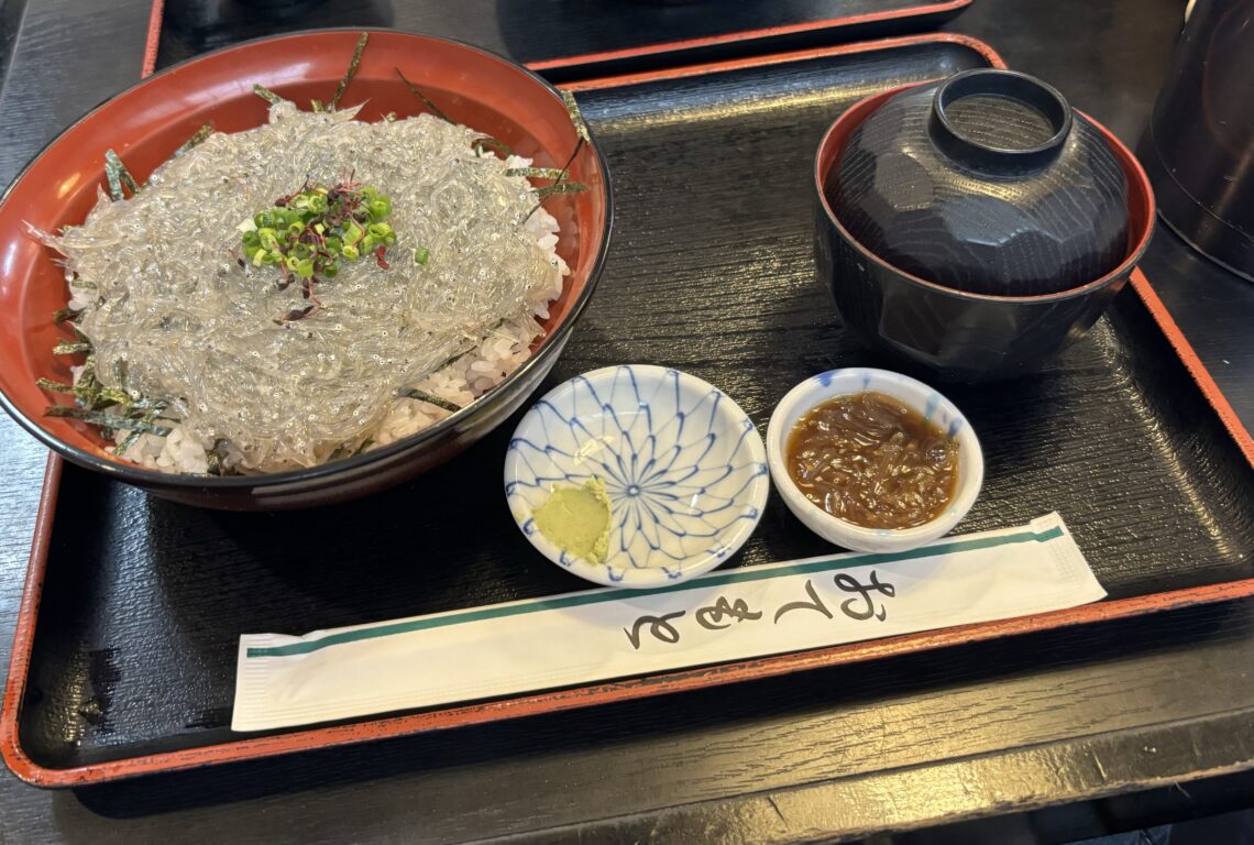 江の島からの横浜へ